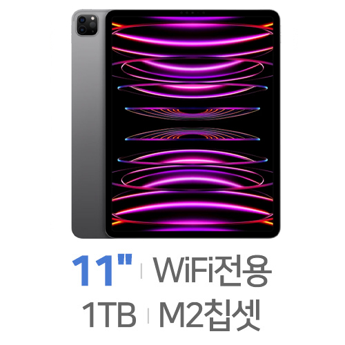 APPLE  2022 iPad Pro 11 4세대