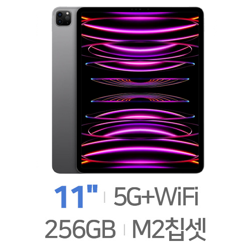 APPLE  2022 iPad Pro 11 Cellular 4세대