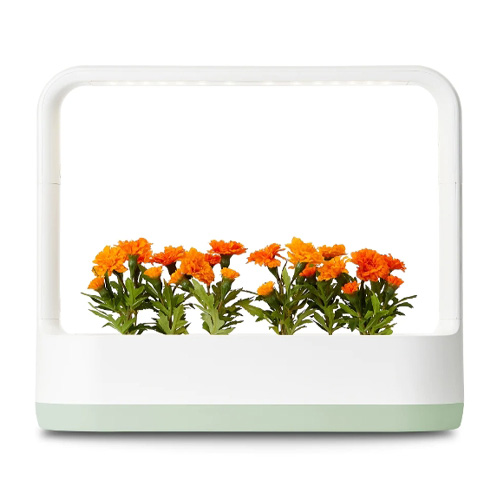 LG전자 틔운 미니 L012