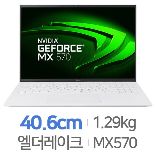 LG전자  16ZD90Q-SX76K WIN10