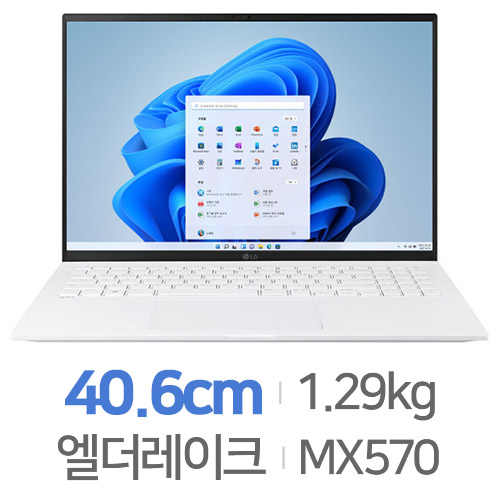 LG전자 2022 그램16(12세대) 16Z90Q-SA56K