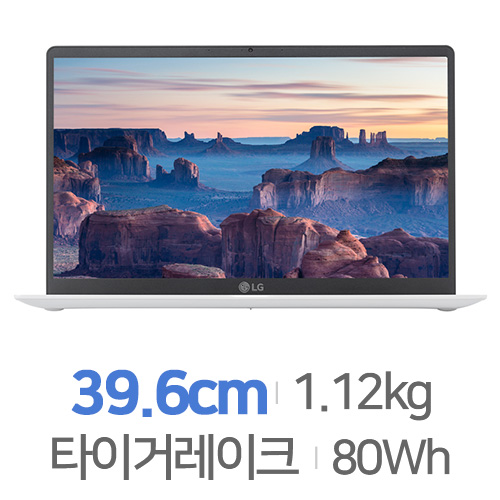 LG전자 2021 그램15 15Z95N-GP75ML