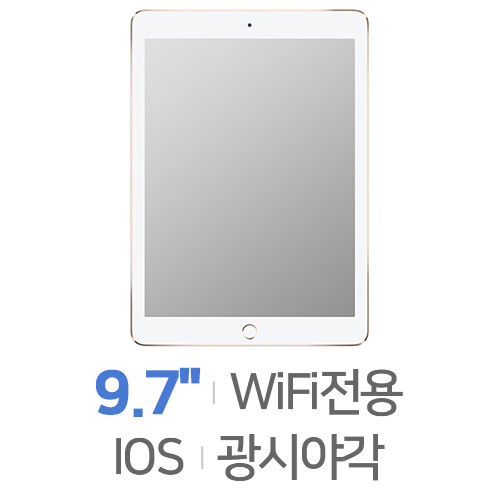 Apple  iPad Air 2세대 중고