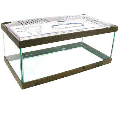 거북이 수조(중)