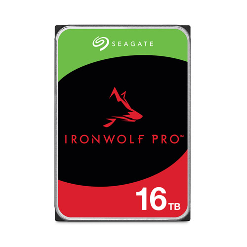 Seagate  IronWolf Pro 7200/256M/해외구매