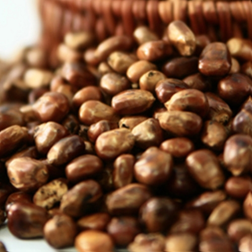 풀빛마을  볶음 보리차 1kg