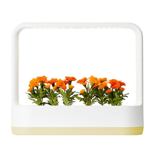 LG전자 틔운 미니 L023