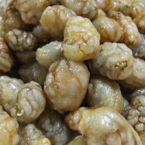 마산어시장  오만둥이 1kg