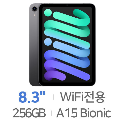 Apple  2021 iPad mini 6세대 256GB