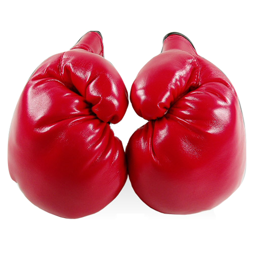 프로킥  유소년 여성용 권투글러브(6온스)