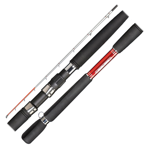 은성사  산호 플러스