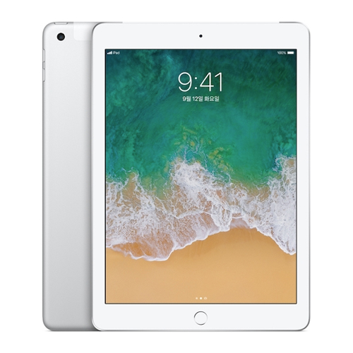 APPLE  iPad 5세대 Cellular