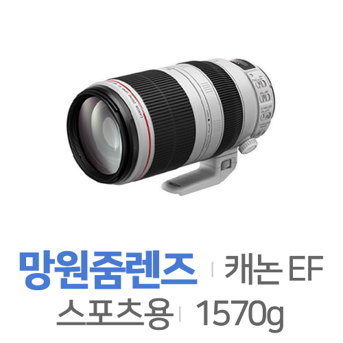 캐논 EF 100-400mm F4.5-5.6L IS II USM[정품]