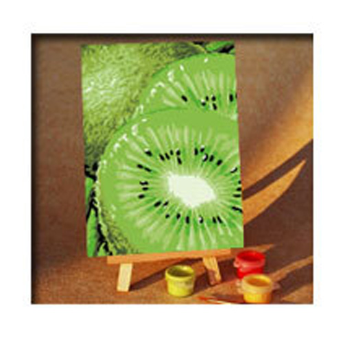 DIY그리기세트 10x15 - 미니키위