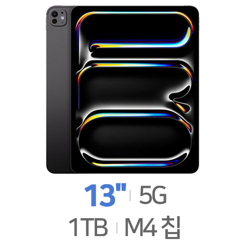 APPLE  2024 iPad Pro 13 M4 Cellular 해외구매