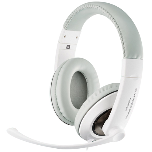 삼성전자  SHS-300UW