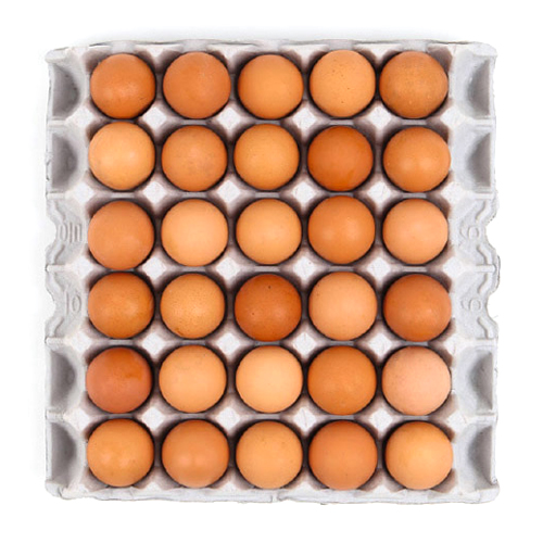 계림농장  아산맑은 반숙란 30구