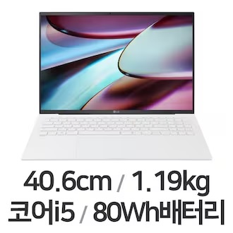 LG전자 그램16 16ZD90RU-GX54K