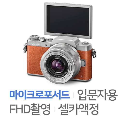 파나소닉 루믹스 DMC-GF8 바디