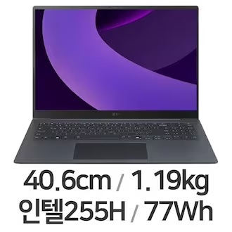 LG전자 2025 그램 프로16 16Z90TP-GD7BK