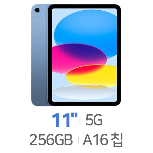 APPLE  2025 iPad A16 11세대 Cellular 해외구매