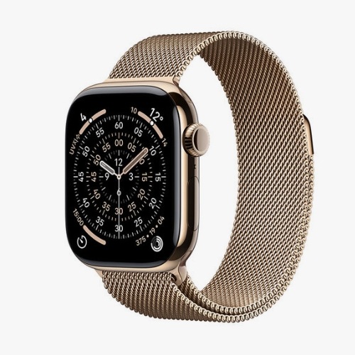 Apple  워치 시리즈11 42mm Cellular 골드 티타늄