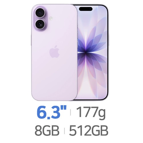 Apple  아이폰17 512GB, 자급제 해외구매