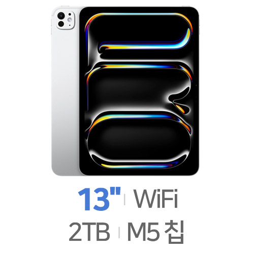 APPLE  2025 iPad Pro 13 M5