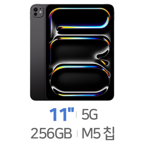 Apple  2025 iPad Pro 11 M5 Cellular