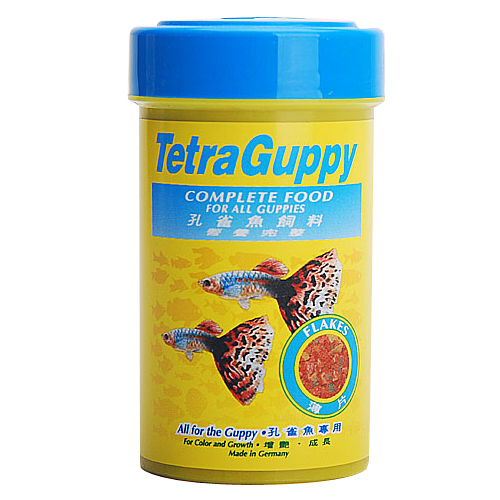 테트라  구피 플레이크