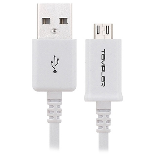 지스타코리아 TEMPLER 마이크로 5핀 케이블 (TEM-D1-100-5P)