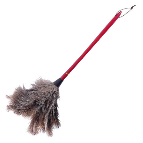 산정  오필리아 먼지웅 타조털이개