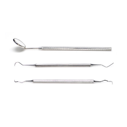 스텐 치석제거기 + 치경세트