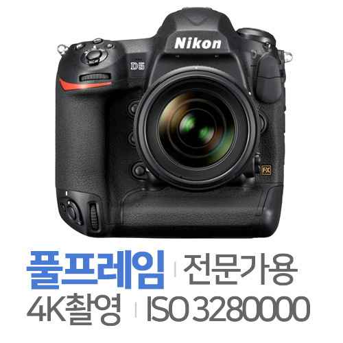 니콘 D5 (중고,병행,해외) [중고품]