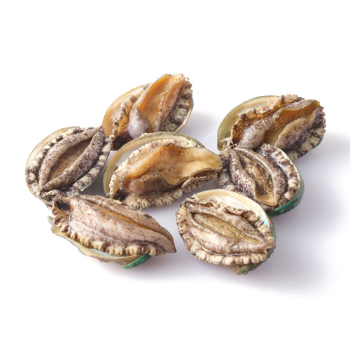 완도전복주식회사  특大활전복 고급횟감용 8-9미 1kg