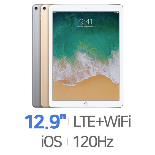 Apple  ipad pro 12.9 2세대 Cellular 256GB