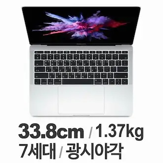 Apple 맥북프로 13형 레티나 2017년형 (MPXR2KH/A)