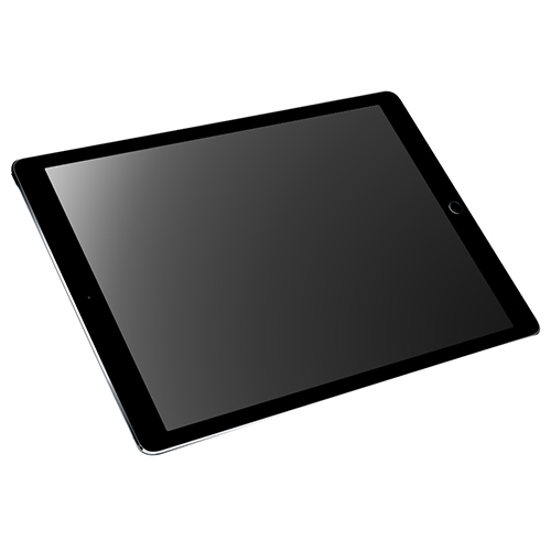 Apple  iPad Pro 12.9 1세대 중고