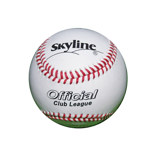 스카이라인  SF-020