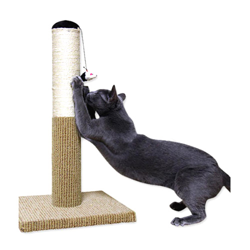 펫모닝  츄러스 스크래쳐 PMC-CT265