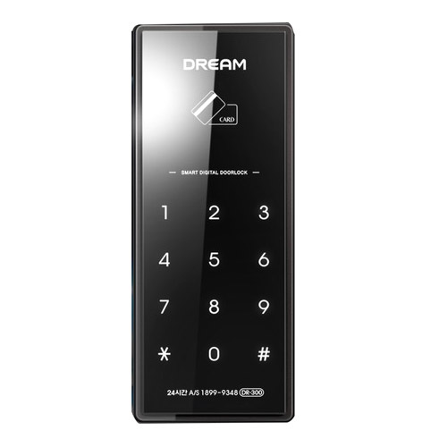 드림 DR-300
