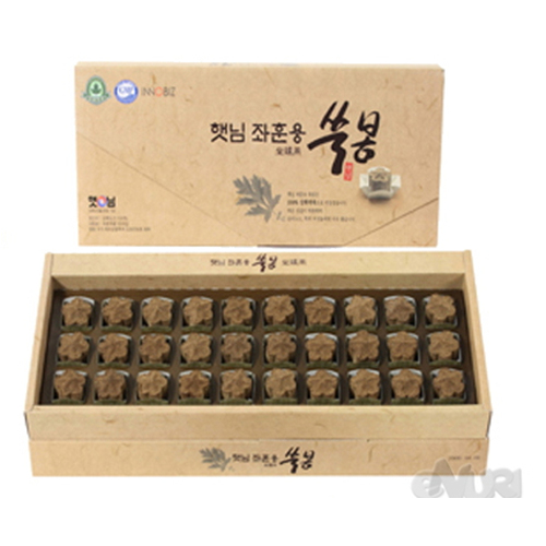 햇님 좌훈용 쑥봉
