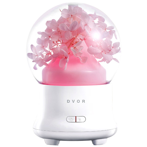 제이코스  JD-F50 드보르