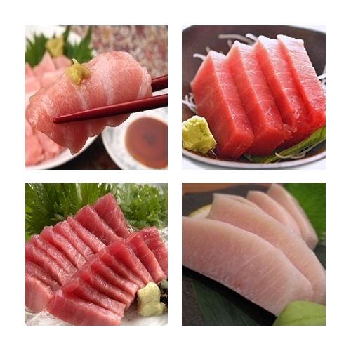 참치몰  국민세트2 800g