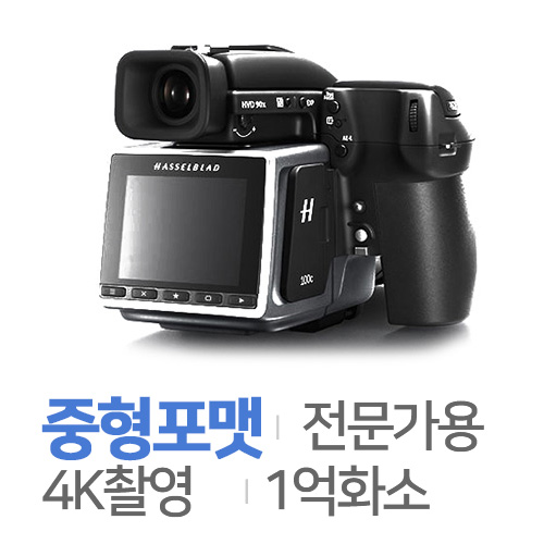 핫셀블라드 H6D-100c [바디, 정품]