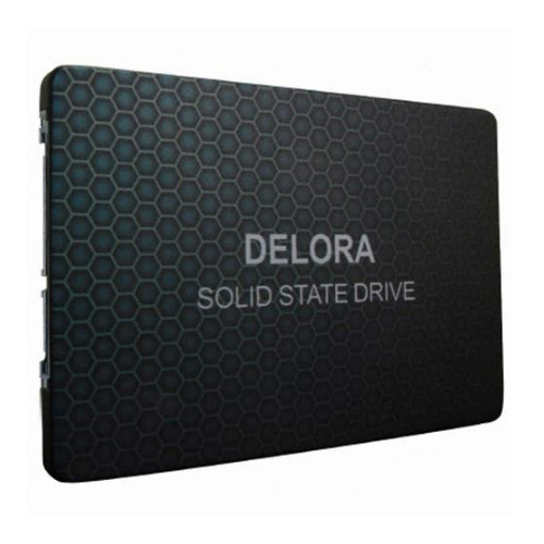 델로라 D2 SSD[1TB]