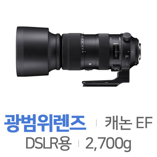 Sigma  S 60-600mm F4.5-6.3 DG OS HSM 캐논 EF용