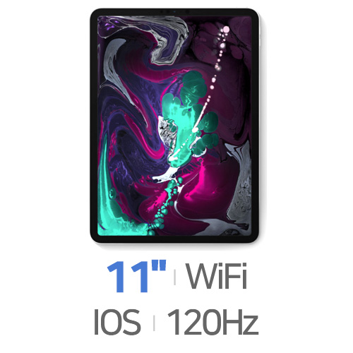 Apple  iPad Pro 11 1세대 중고