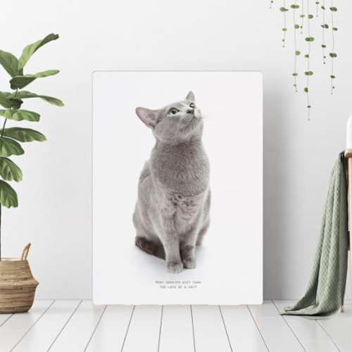 오홀리브 러시안블루 기본다리 접이식 액자테이블