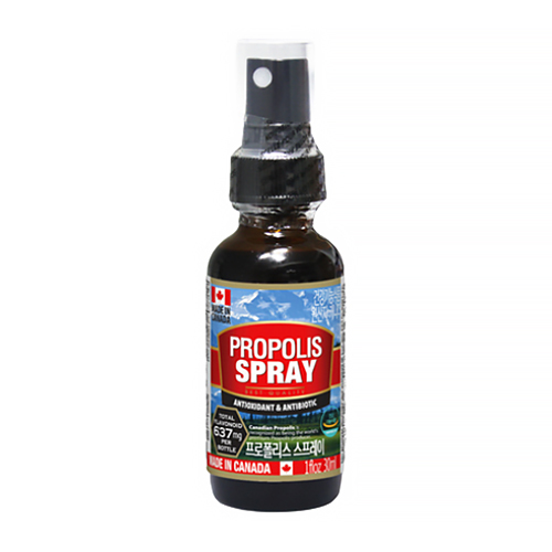 통라이프 프로폴리스 액상 500mg 30ml